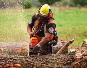 get started text module